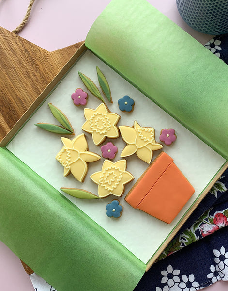 daffodil and plant pot themed iced letterbox biscuits