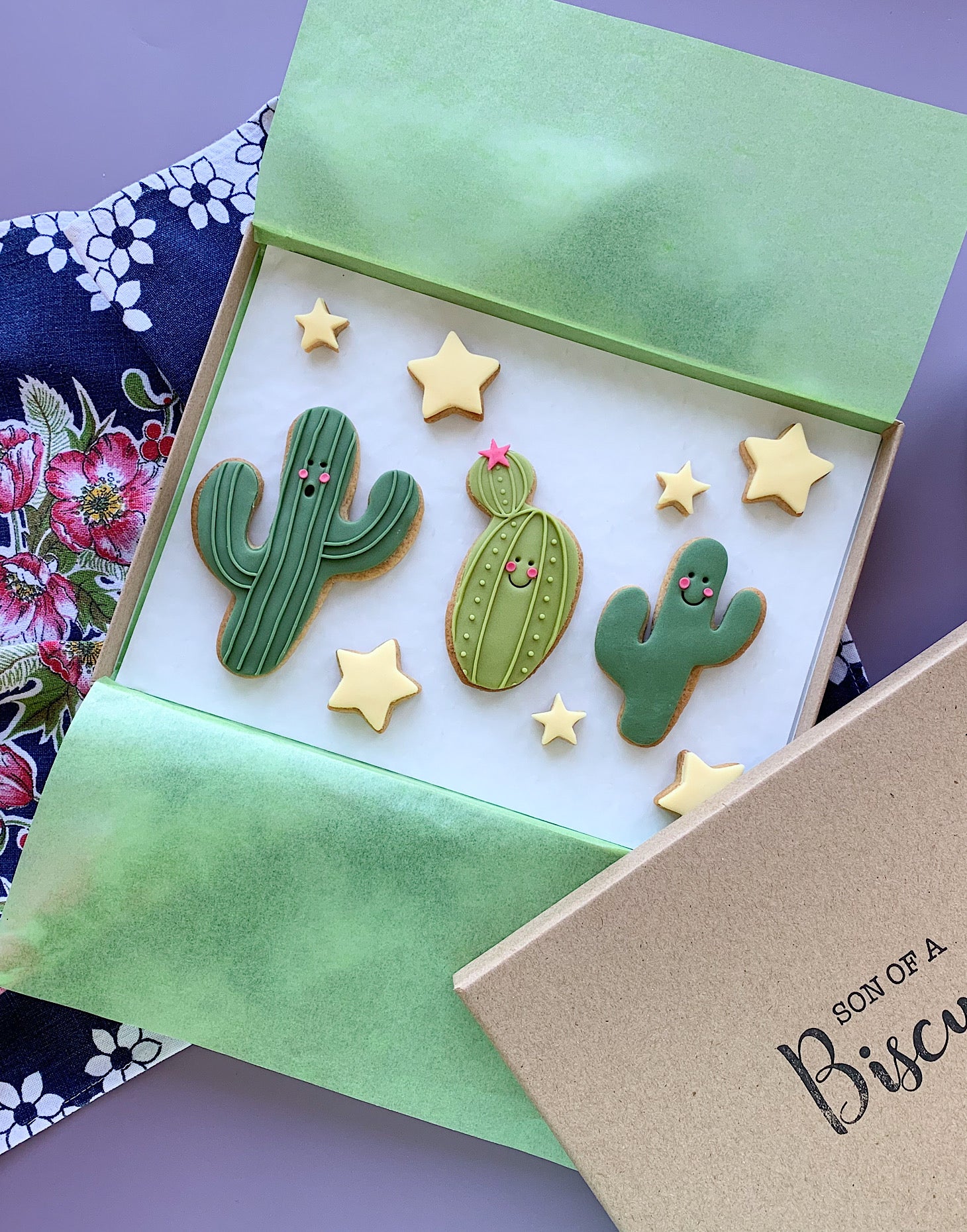 prickly cactus iced letterbox biscuits
