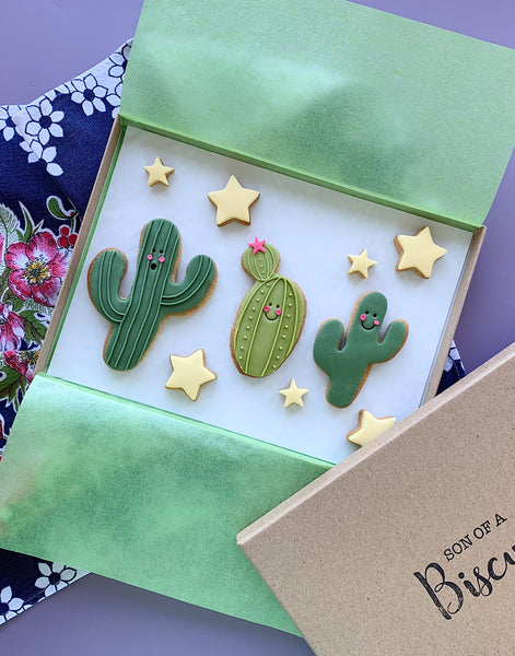 cute cactus themed letterbox biscuit gift