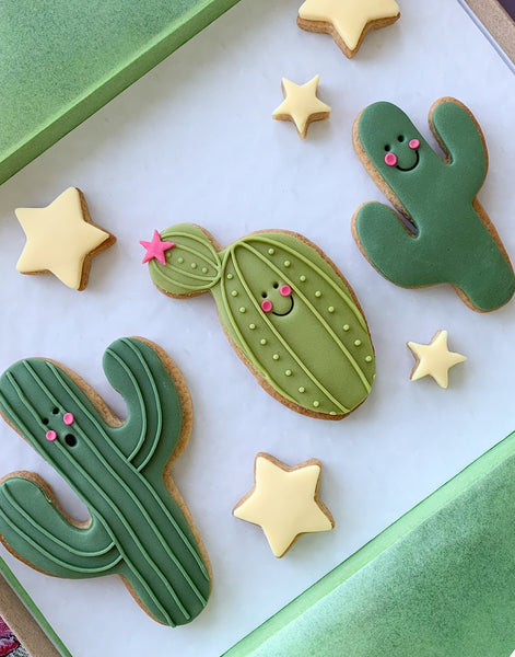 smiley cactus iced letterbox biscuits